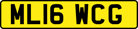 ML16WCG