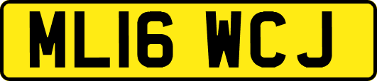 ML16WCJ