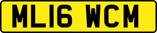 ML16WCM