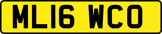 ML16WCO