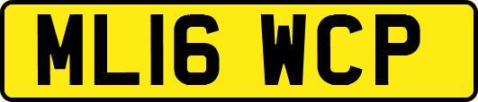 ML16WCP