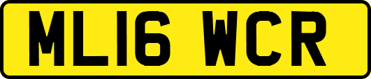 ML16WCR