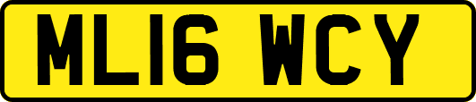 ML16WCY
