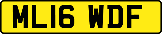 ML16WDF