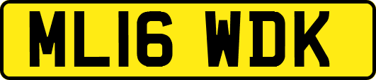ML16WDK