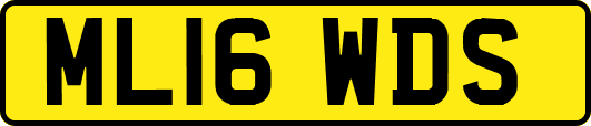ML16WDS
