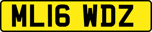 ML16WDZ