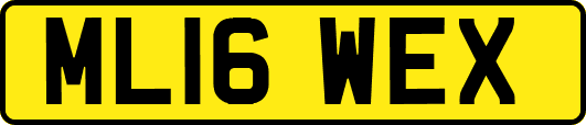 ML16WEX