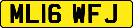 ML16WFJ