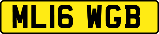 ML16WGB