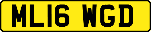 ML16WGD