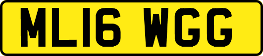 ML16WGG