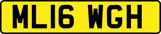 ML16WGH
