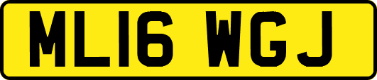 ML16WGJ