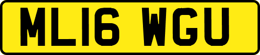 ML16WGU