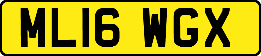 ML16WGX