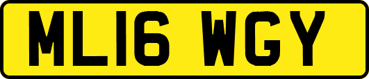 ML16WGY