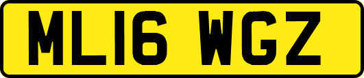 ML16WGZ
