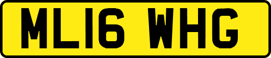 ML16WHG