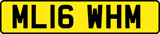 ML16WHM