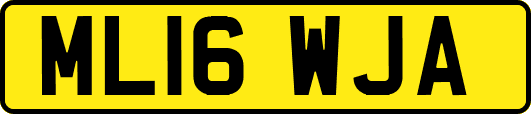 ML16WJA