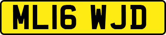 ML16WJD