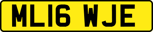 ML16WJE