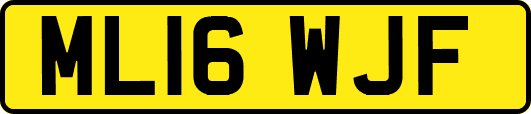 ML16WJF