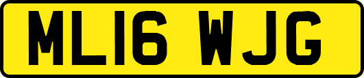ML16WJG