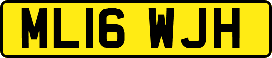 ML16WJH