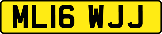 ML16WJJ