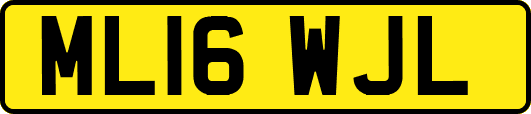 ML16WJL