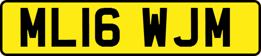 ML16WJM