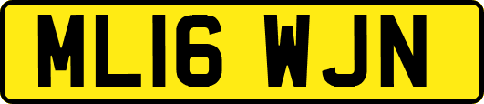 ML16WJN