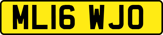 ML16WJO