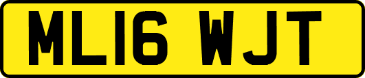 ML16WJT