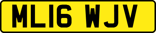 ML16WJV
