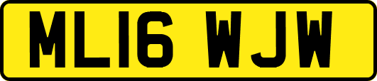 ML16WJW