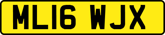 ML16WJX
