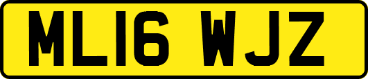 ML16WJZ