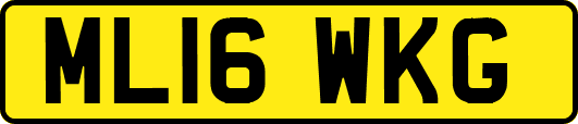 ML16WKG