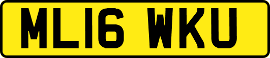ML16WKU