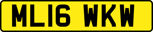 ML16WKW