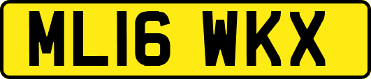 ML16WKX