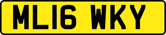 ML16WKY