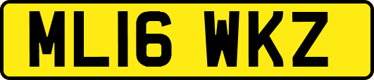ML16WKZ