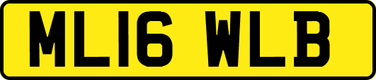 ML16WLB