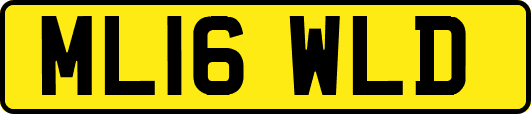 ML16WLD