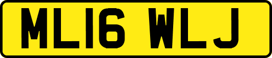 ML16WLJ