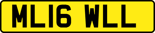 ML16WLL